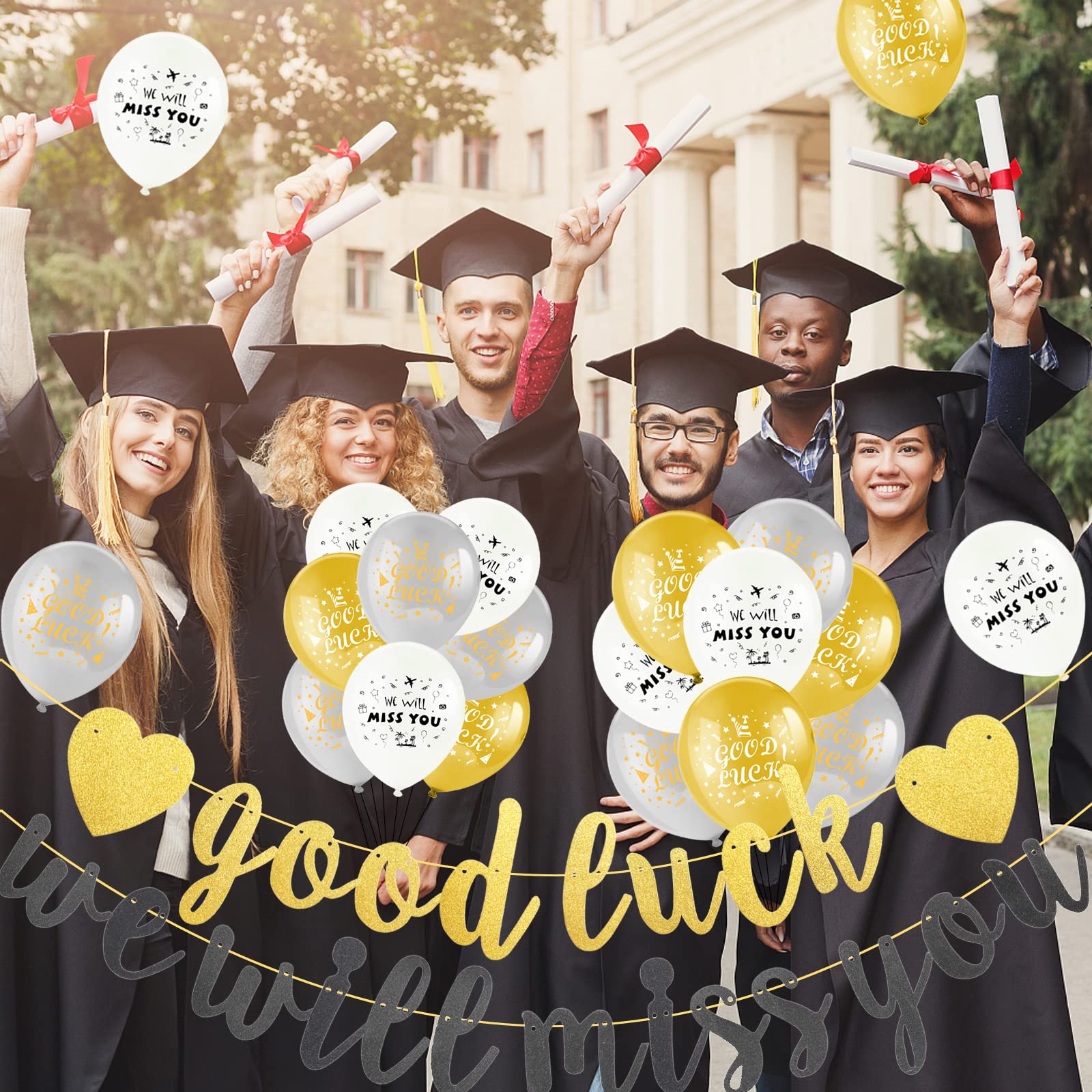 howaf-abschied-deko-we-will-miss-you-banner-18-ballons image 5