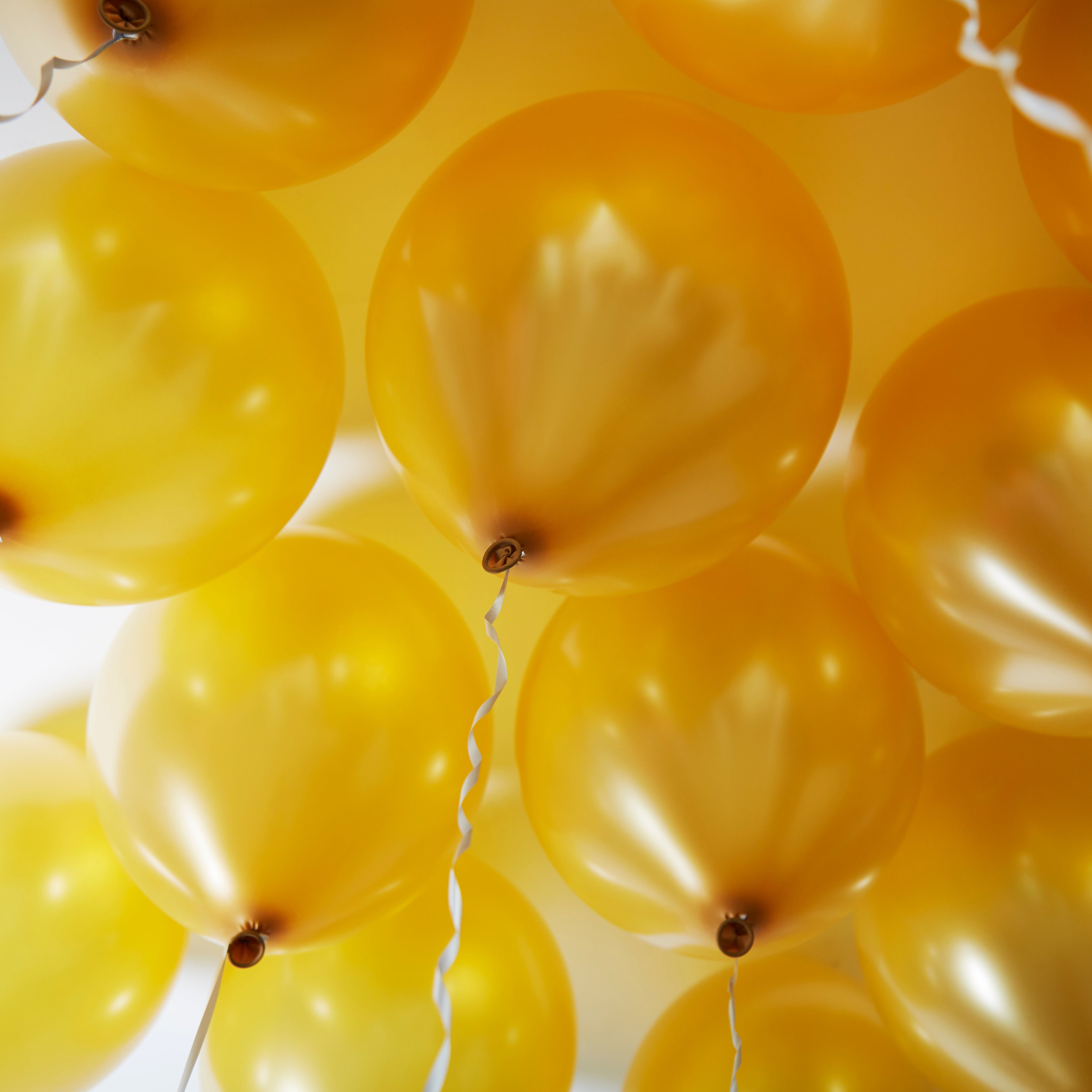 green-paw-metallic-balloons-luftballons-gold-50-st-ck-metallic image 4