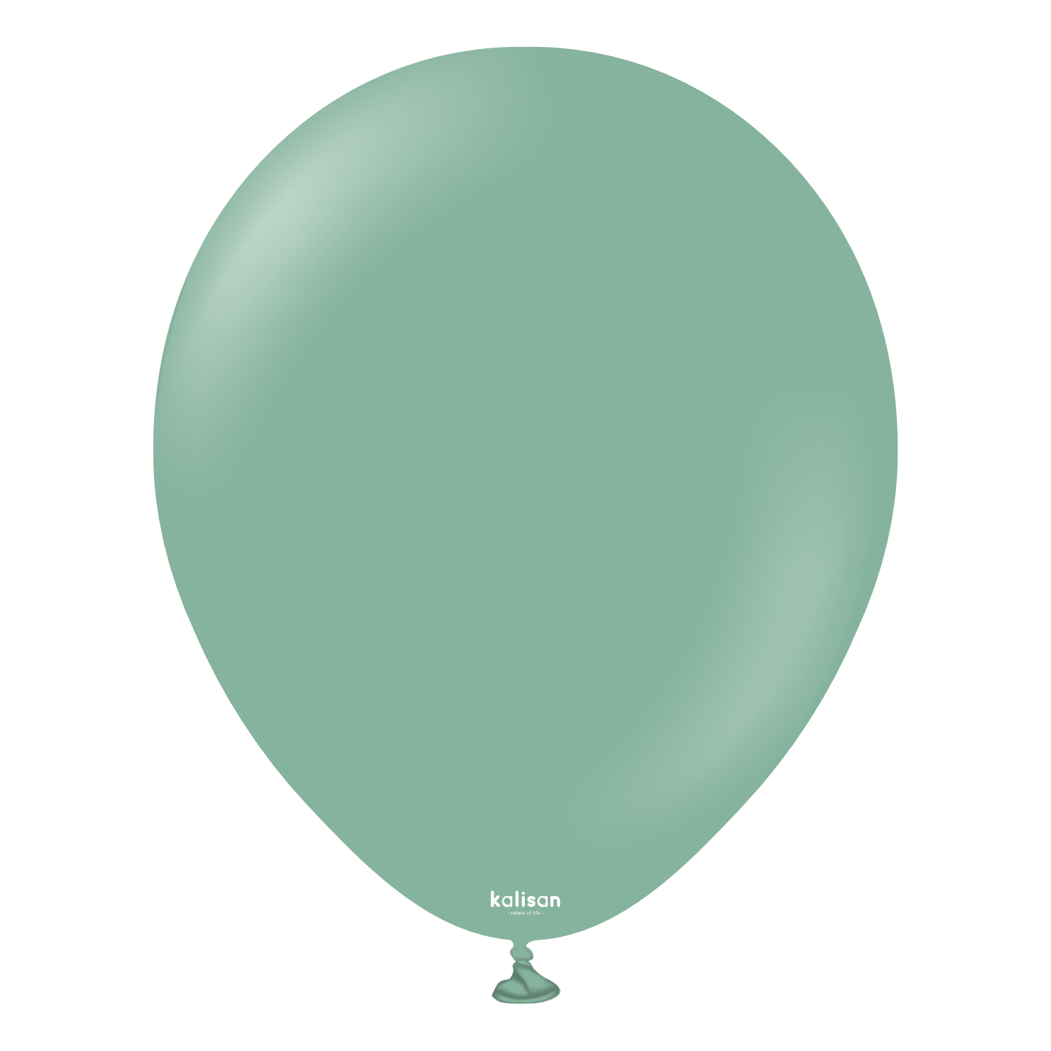 kalisan-retro-colors-sage-ballon-12-25-st-ck image 1