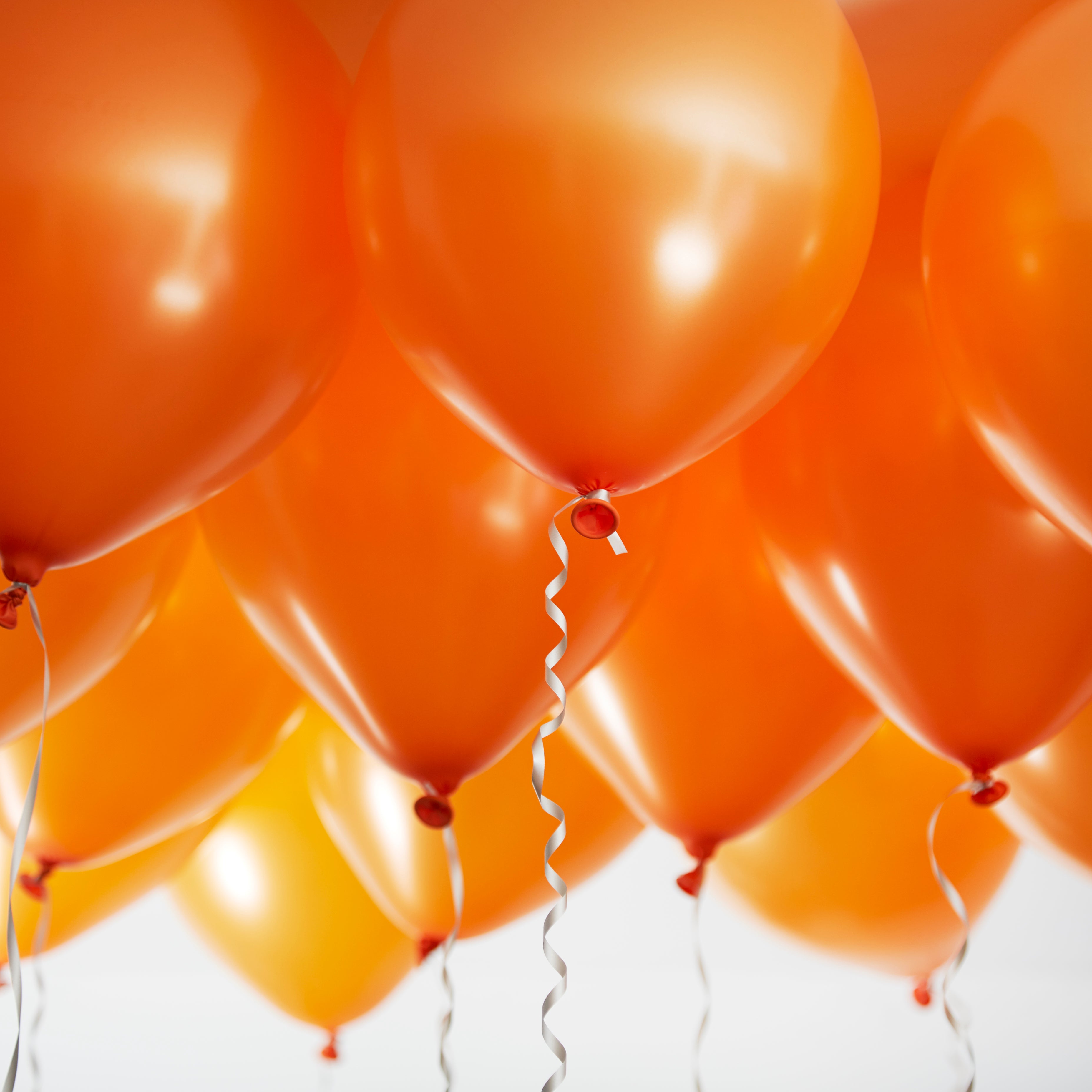 green-paw-metallic-balloons-luftballons-orange-50-st-ck image 2