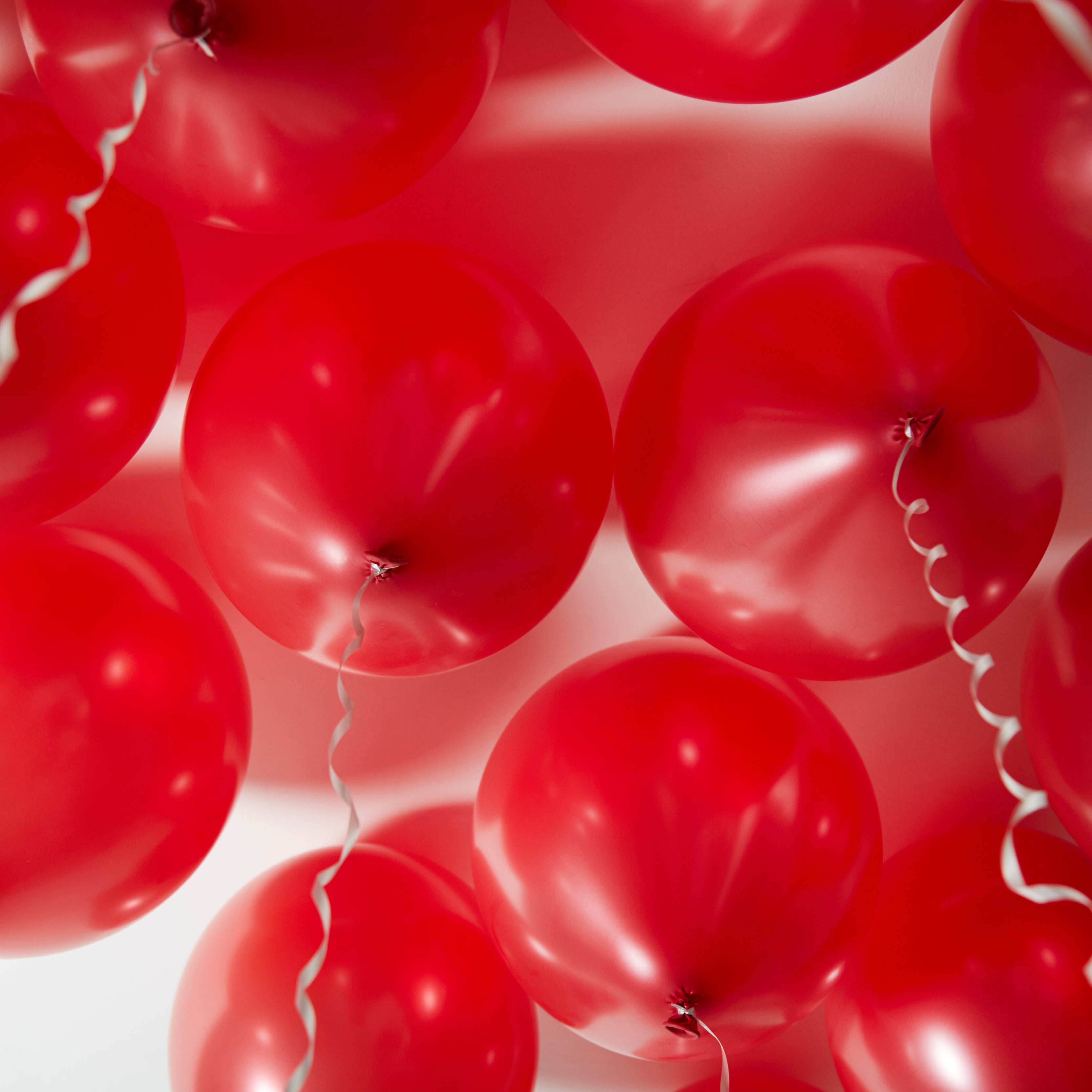 green-paw-metallic-balloons-luftballons-rot-50-st-ck-latex image 4