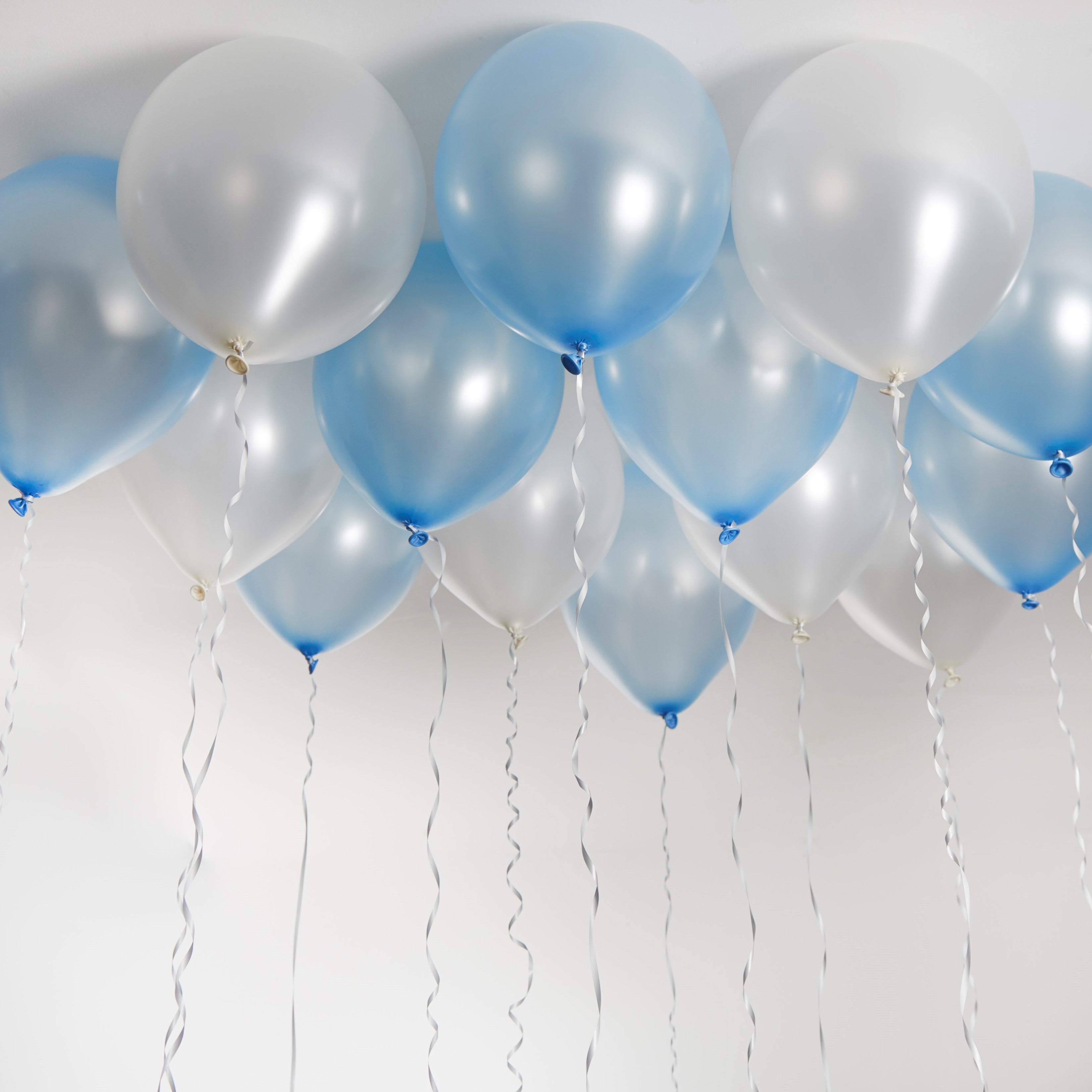green-paw-metallic-balloons-luftballons-blau-wei-50-st-ck image 2