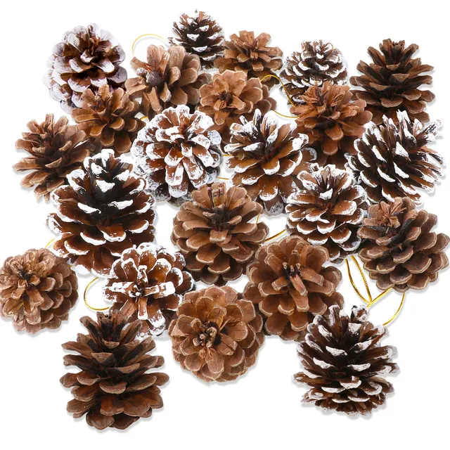 howaf-tannenzapfen-natur-25-st-ck-5-6cm-mit-goldschnur image 1