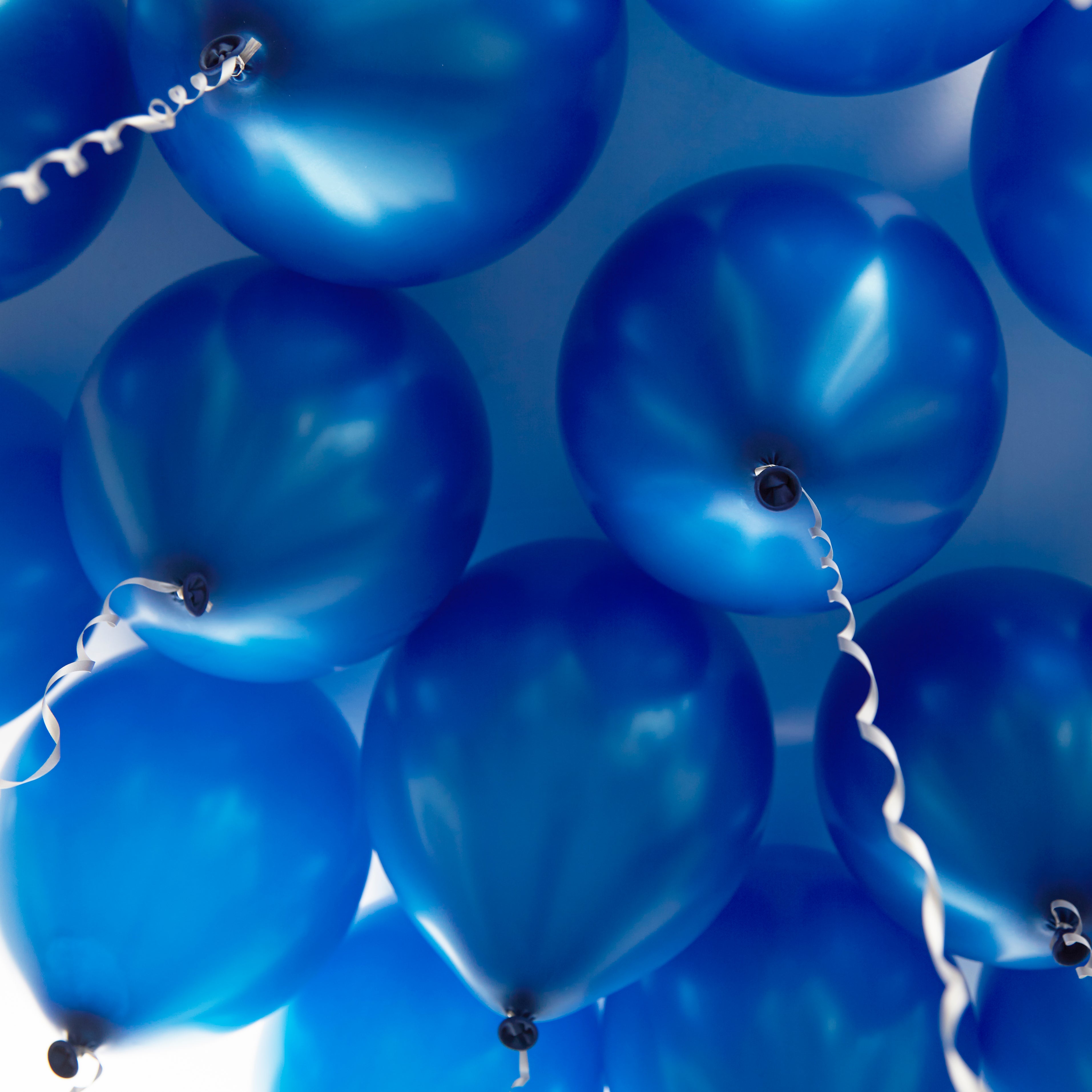 green-paw-metallic-balloons-luftballons-blau-25-st-ck-helium image 3