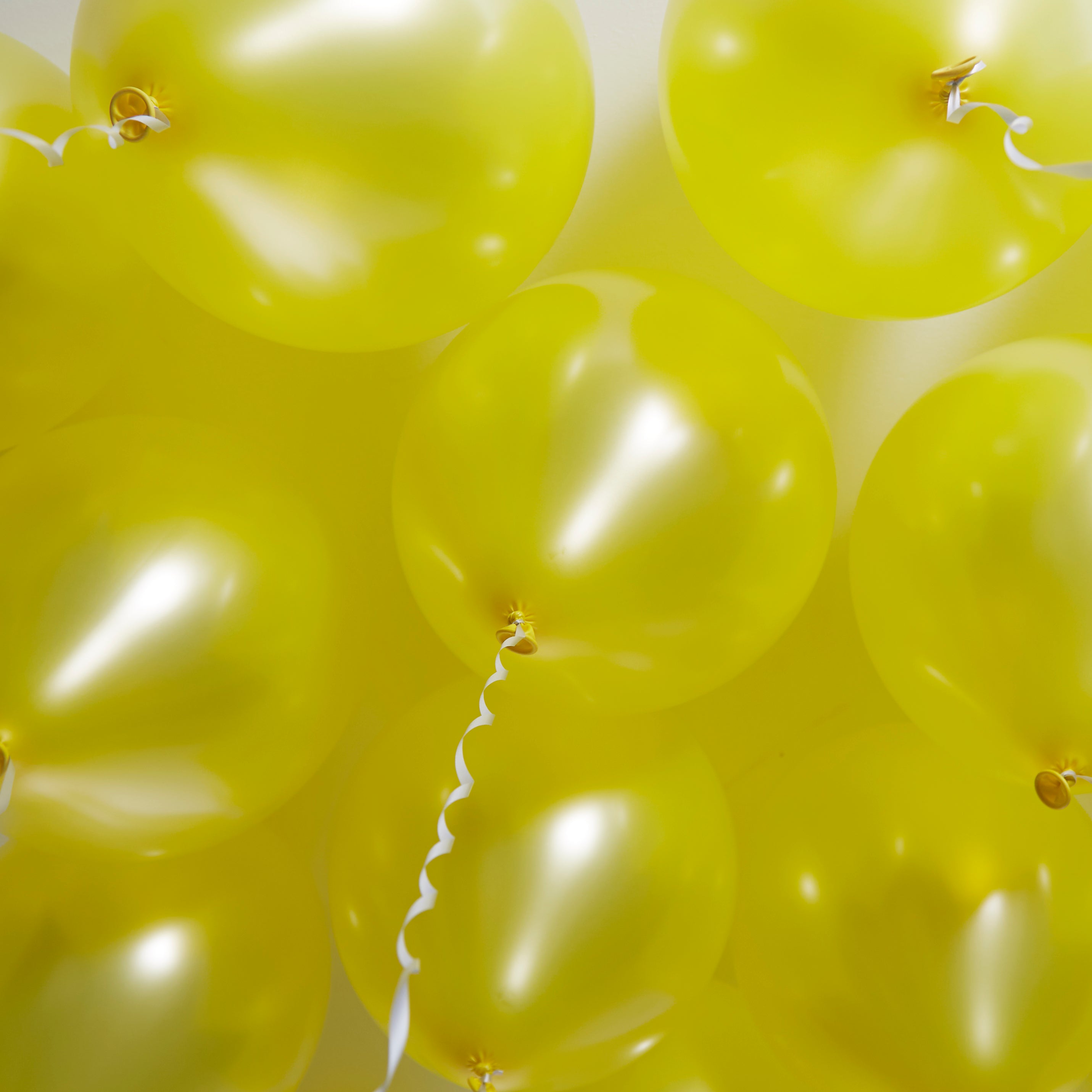 green-paw-metallic-balloons-luftballons-gelb-50-st-ck-latex image 3