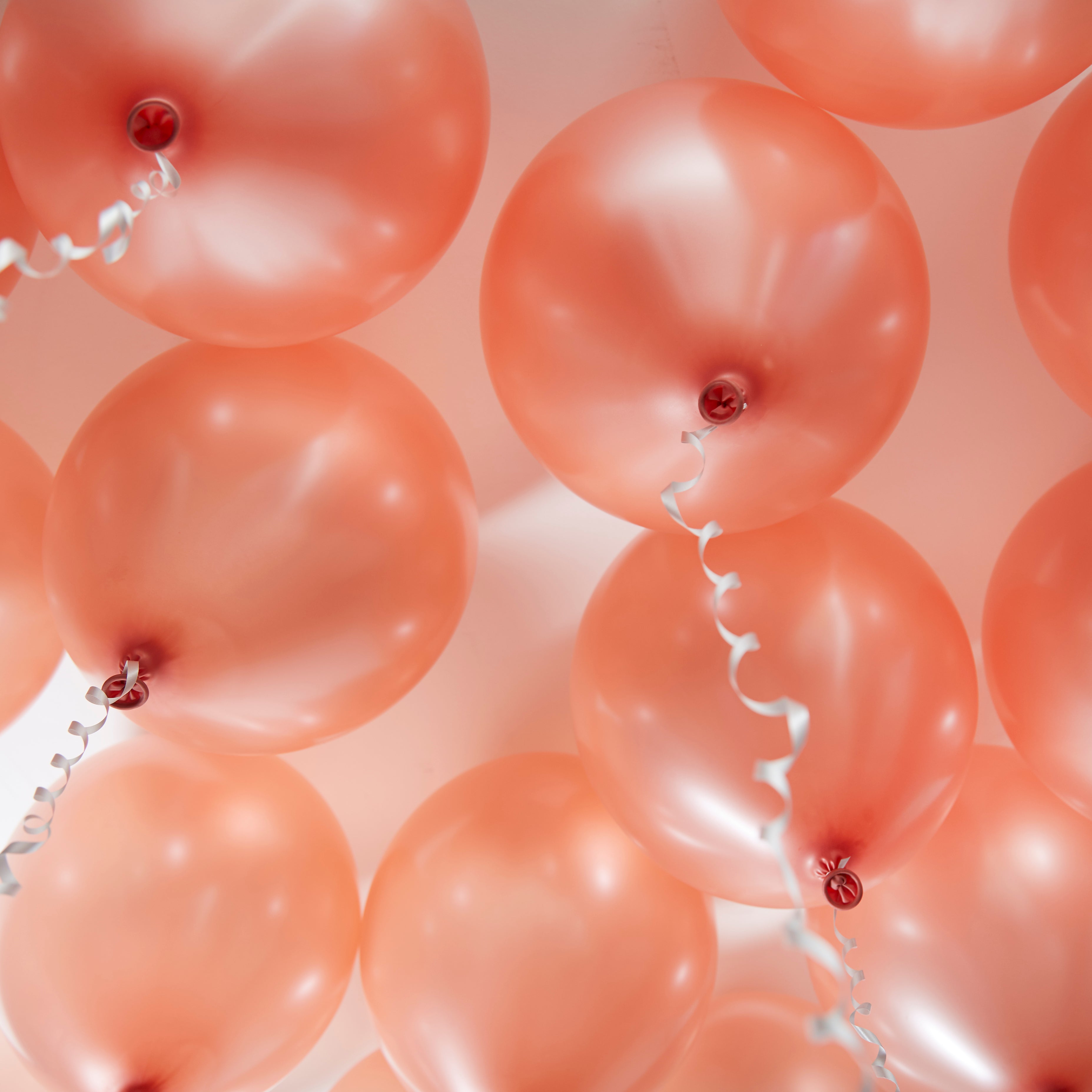 green-paw-metallic-balloons-luftballons-pfirsich-50-st-ck image 4
