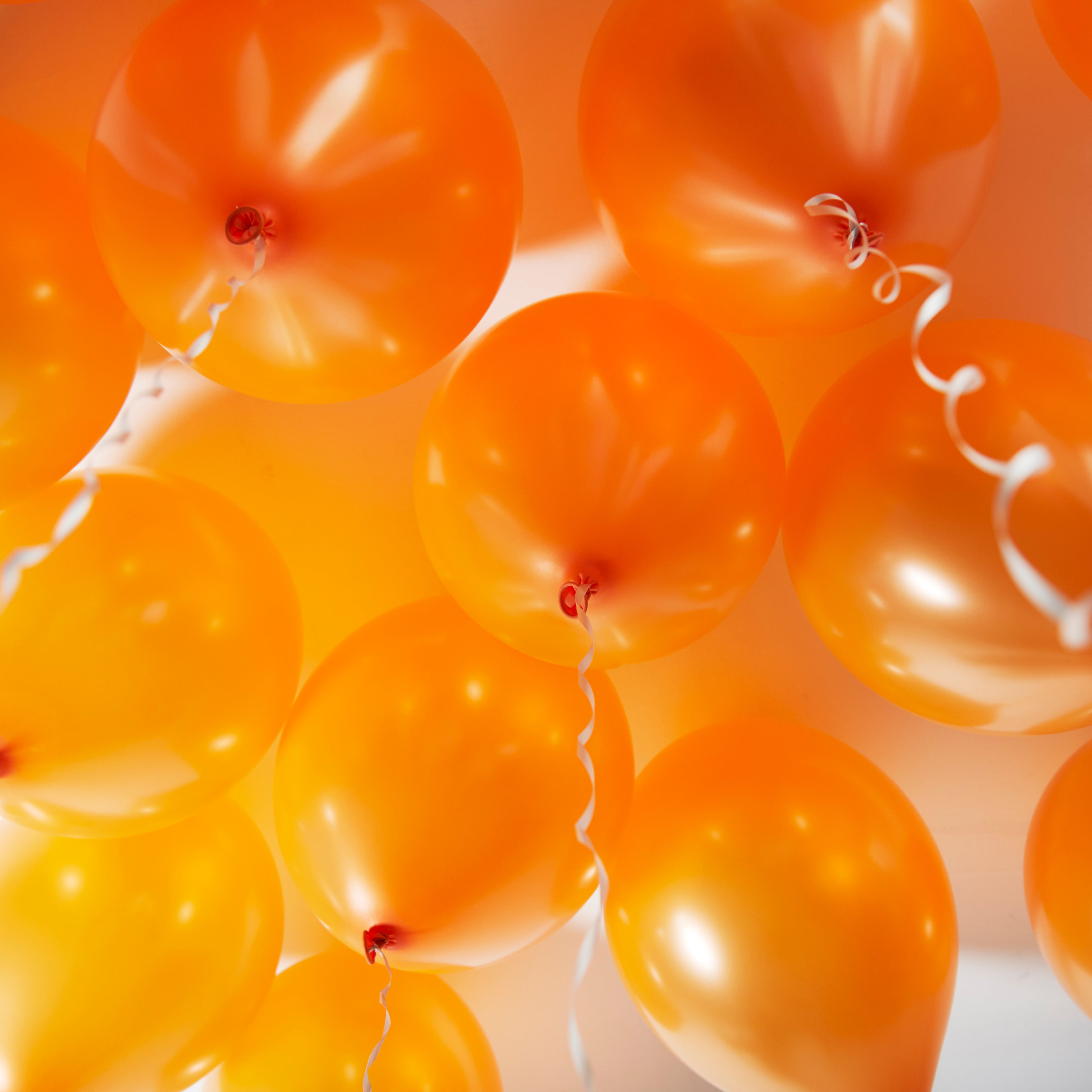 green-paw-metallic-balloons-luftballons-orange-50-st-ck image 4