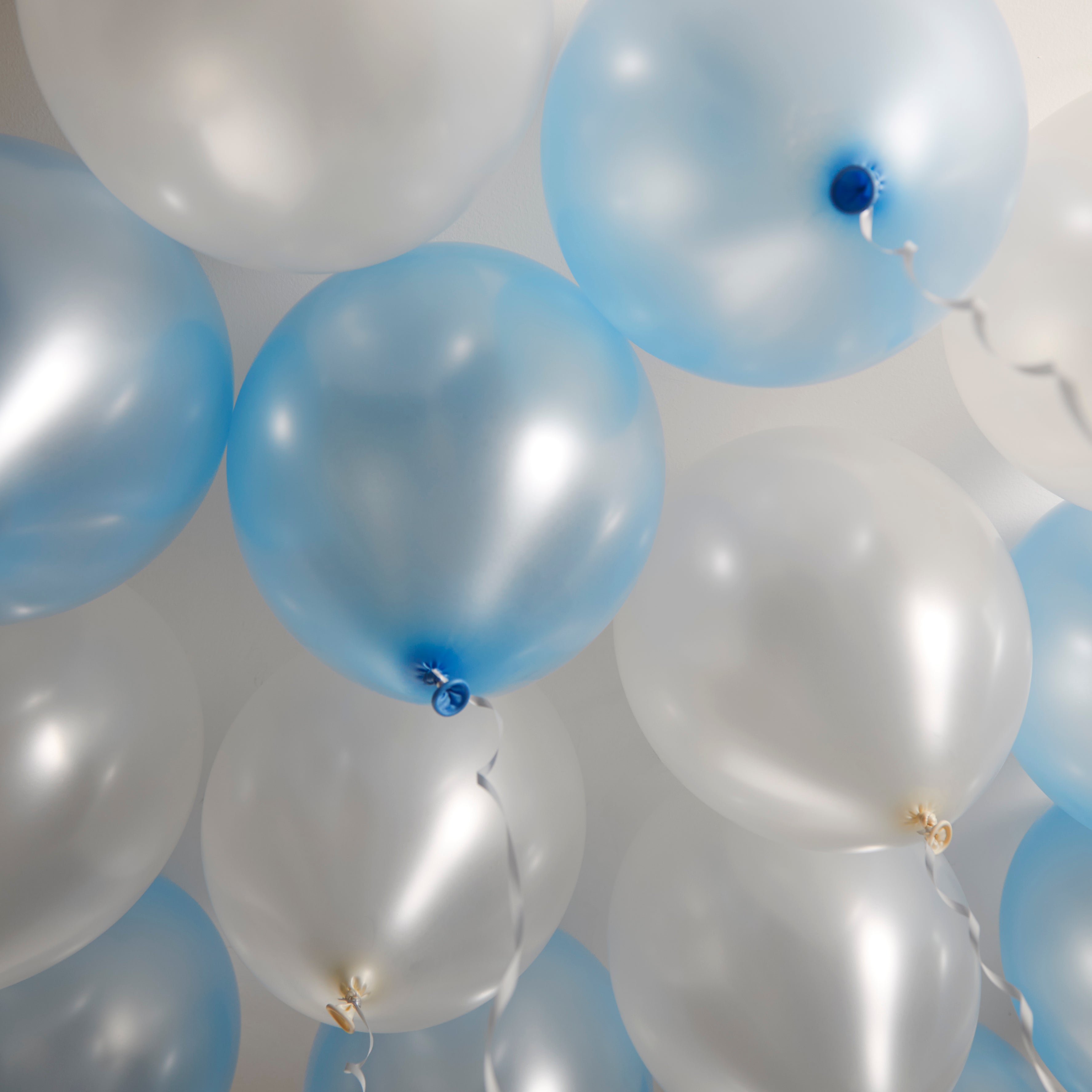 green-paw-metallic-balloons-luftballons-blau-wei-50-st-ck image 4