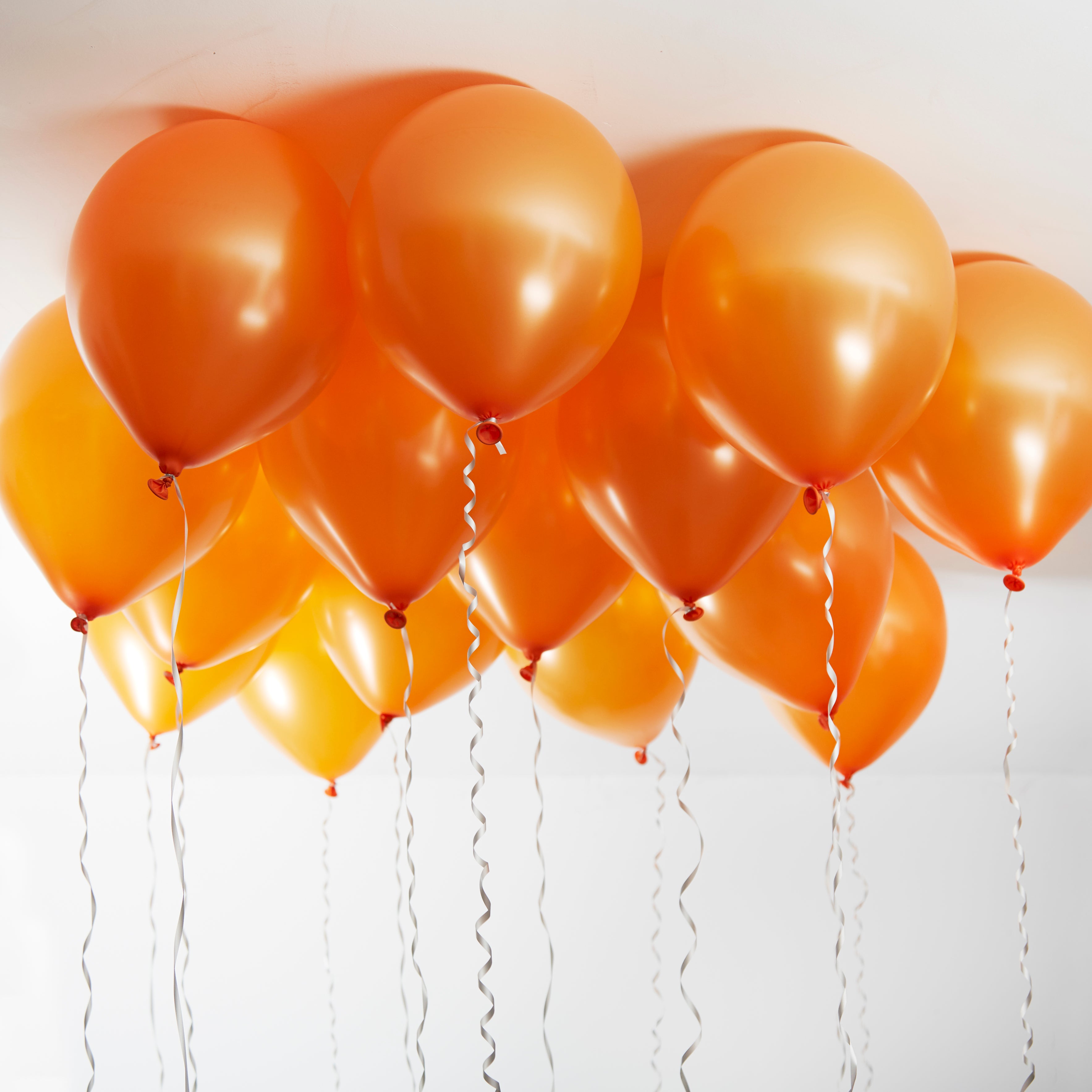 green-paw-metallic-balloons-luftballons-orange-50-st-ck image 3