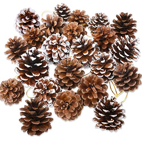 howaf-tannenzapfen-natur-25-st-ck-5-6cm-mit-goldschnur image 8