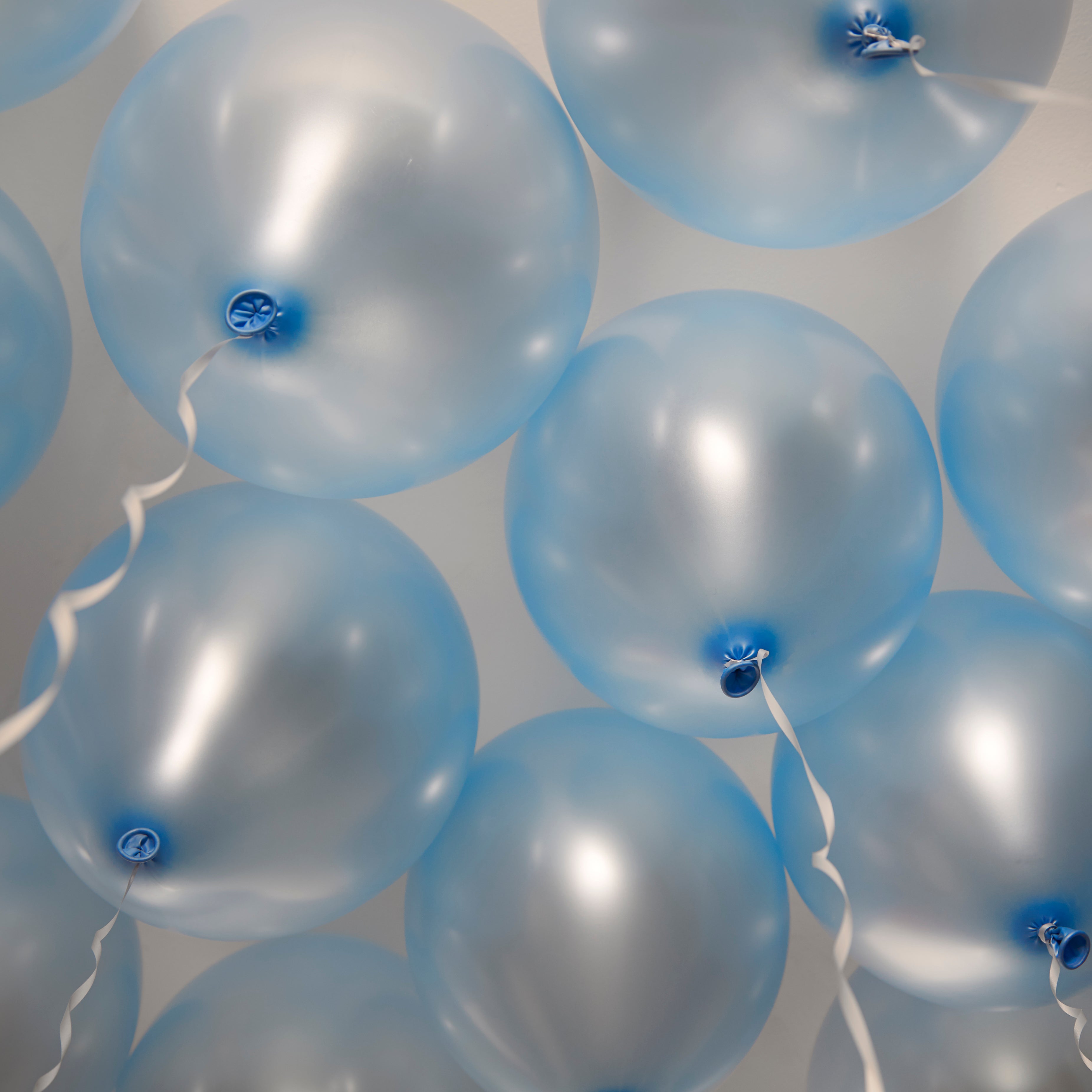 green-paw-metallic-baby-blue-ballons-25-st-ck-metallic-blau image 4